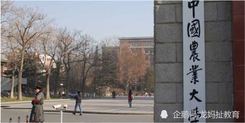 重慶迎五所雙一流大學布局，含兩所985高校南京環保工程校區